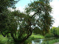 DSCN9271