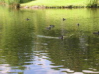 DSCN9277