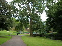 DSCN9279