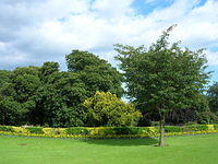 DSCN9286