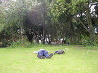 DSCN9288