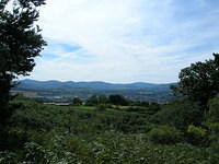 DSCN9306