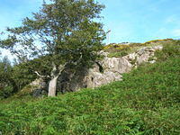 DSCN9312