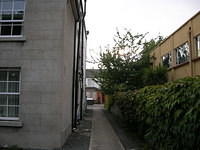 DSCN9584