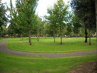 DSCN9608