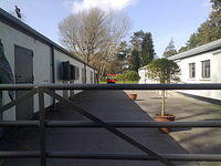 21032010266