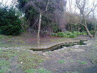 24032010298