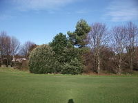 DSCF0038