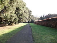 DSCF0047