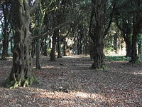 DSCF0052