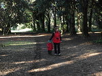 DSCF0059