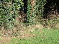 DSCF0061