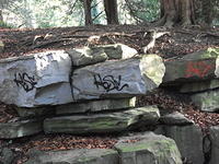 DSCF0069