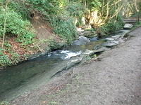DSCF0075