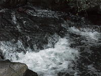 DSCF0077
