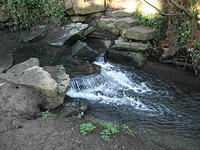 DSCF0081