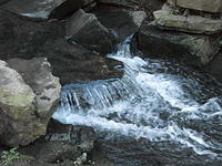 DSCF0082