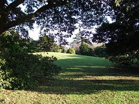 DSCF0083