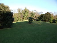 DSCF0085