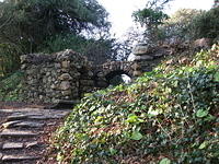 DSCF0095