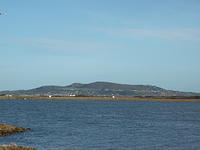 DSCF0099