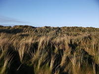 DSCF0103