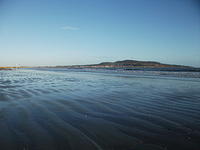DSCF0112