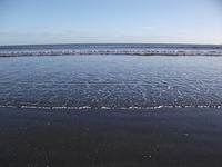 DSCF0117