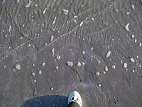 DSCF0118