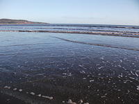 DSCF0121