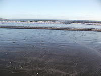 DSCF0128