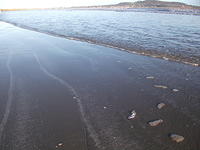 DSCF0131