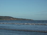 DSCF0132