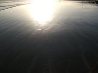 DSCF0133