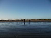 DSCF0136