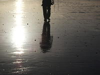 DSCF0137