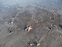 DSCF0138