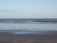 DSCF0141