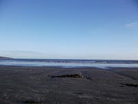DSCF0145