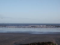 DSCF0146