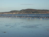 DSCF0165