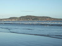 DSCF0168