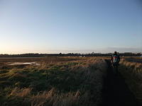 DSCF0173