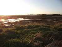 DSCF0175