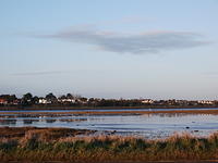 DSCF0178