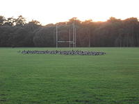 DSCF0187