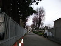DSCF0387