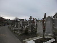 DSCF0388