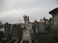 DSCF0389