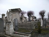 DSCF0390